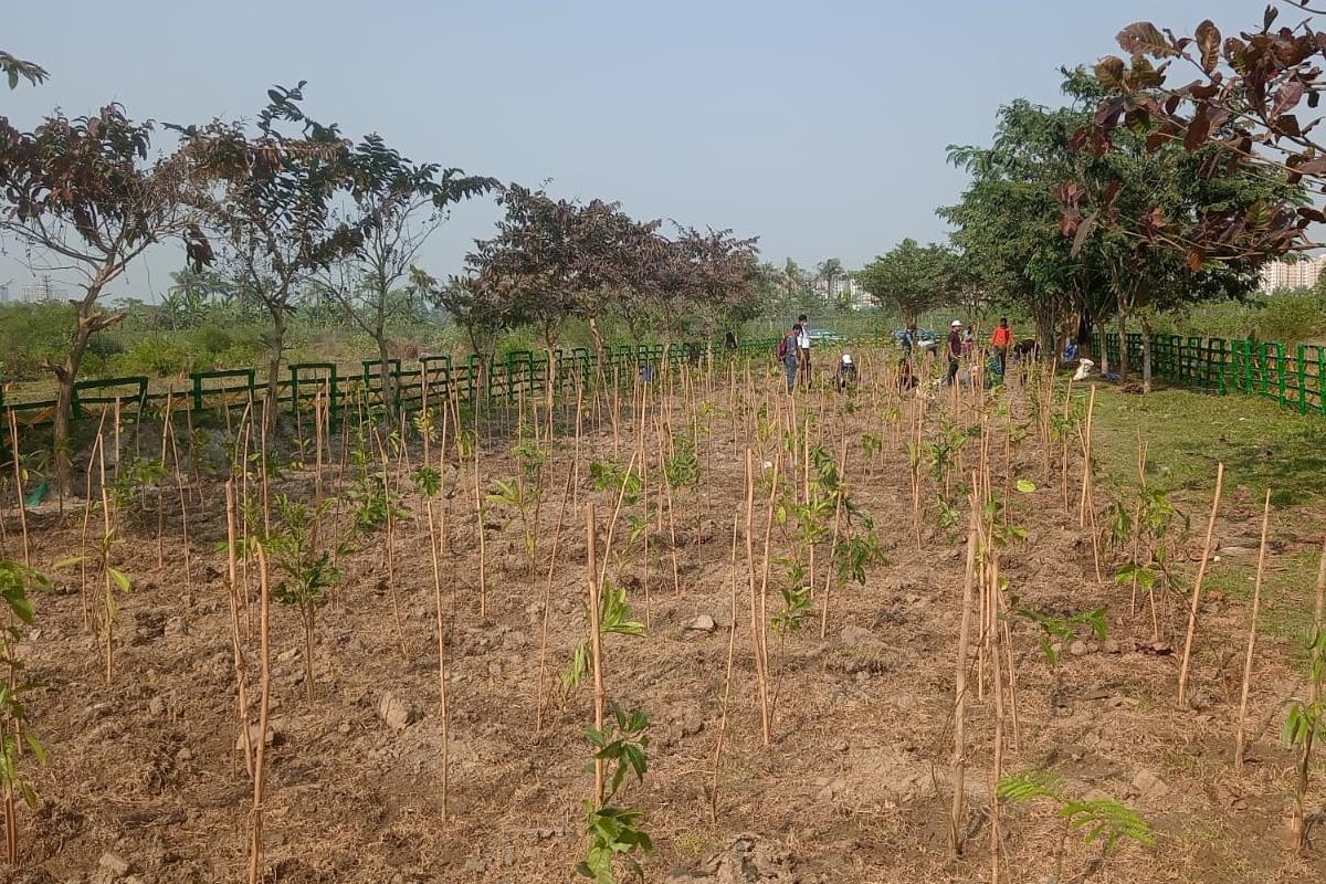 CDE Asia Limited marches towards Net Zero with Miyawaki Technique of Afforestation